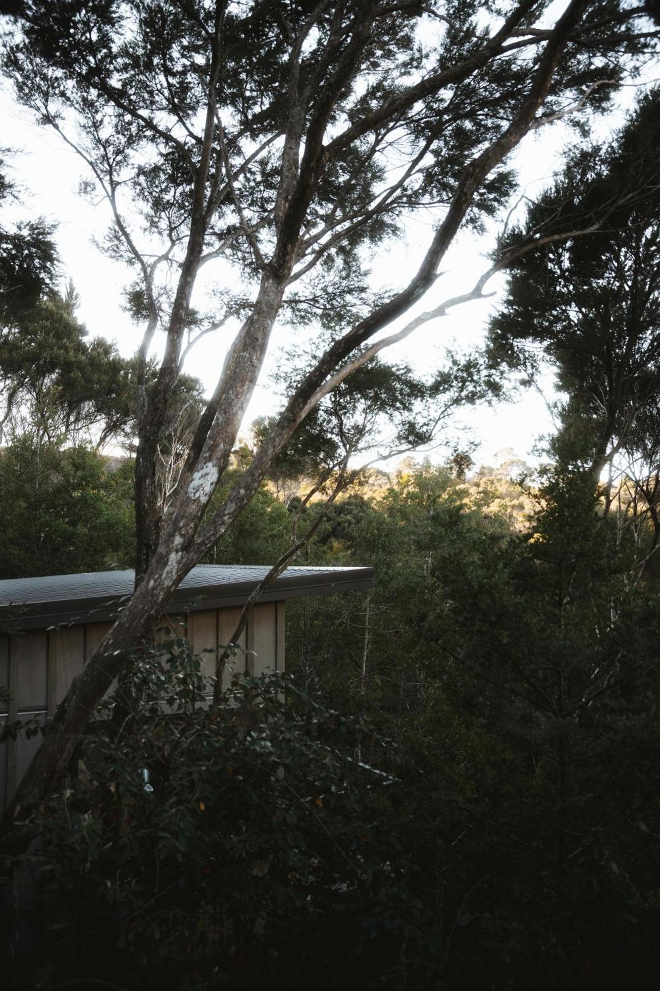 Treehouse Hideaway At Rekindle Tree Houses Opua Εξωτερικό φωτογραφία